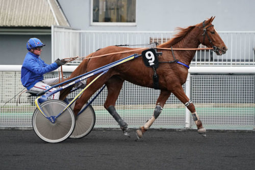 Allez « Hora » !