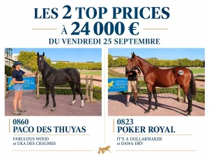 Lire la suite à propos de l’article J7 : Poker Royal et Paco des Thuyas top prices à 24 000 €