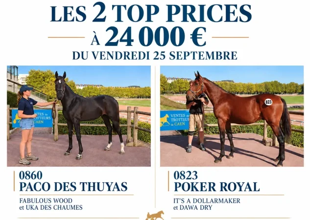 J7 : Poker Royal et Paco des Thuyas top prices à 24 000 €