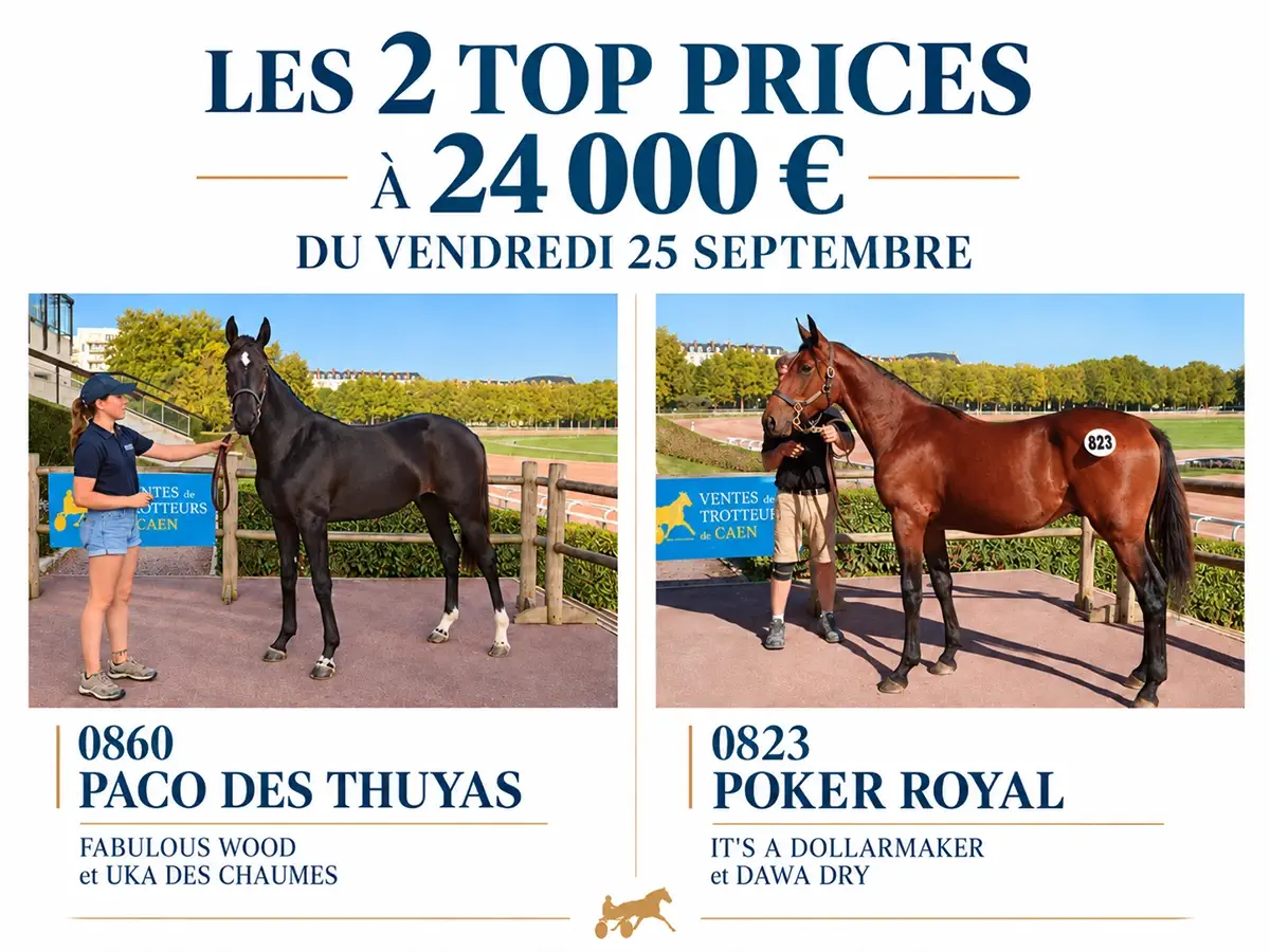 Vous consultez J7 : Poker Royal et Paco des Thuyas top prices à 24 000 €