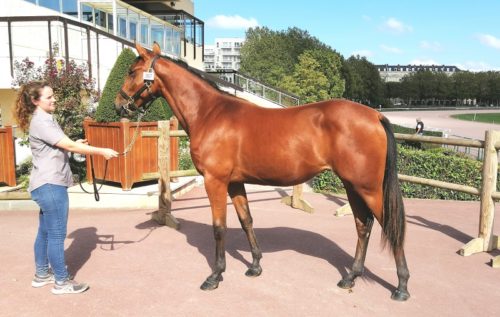 Merveille du Mont fait afficher 30 000 € !