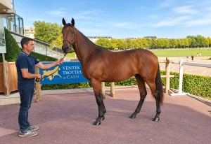 Lire la suite à propos de l’article J6 : Passion de Tillard top price du jour à 60 000 €