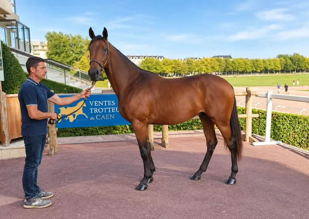 J6 : Passion de Tillard top price du jour à 60 000 €