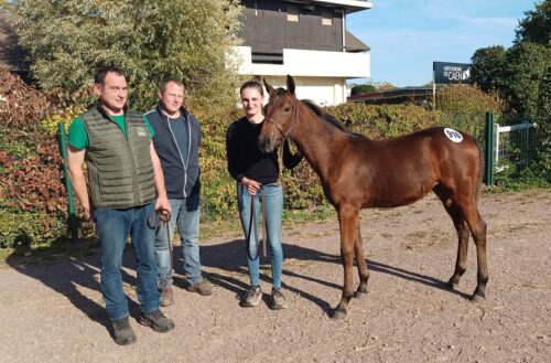 Picasso Fromentro, top price à 22 000 € de la journée de clôture