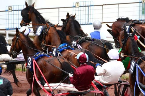 Le bilan du week-end : 5 gagnants