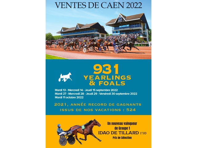 You are currently viewing CATALOGUE 2022 : principales mises à jour de la journée de ventes du mardi 11/10