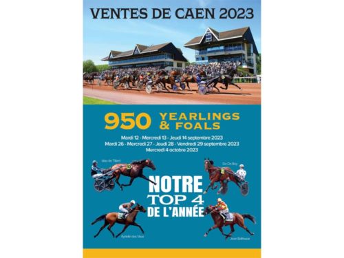Consultez les résultats des Ventes 2023
