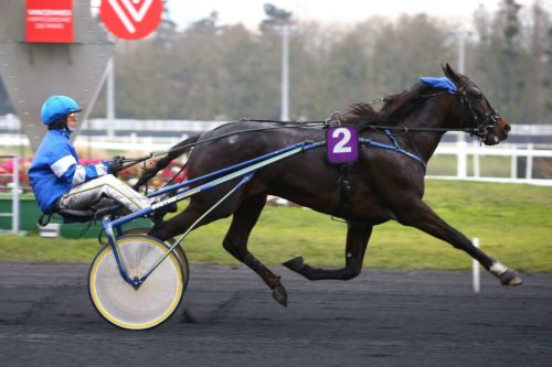 CANARI MATCH (2012)