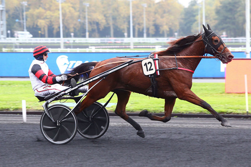 You are currently viewing Un beau bilan hivernal