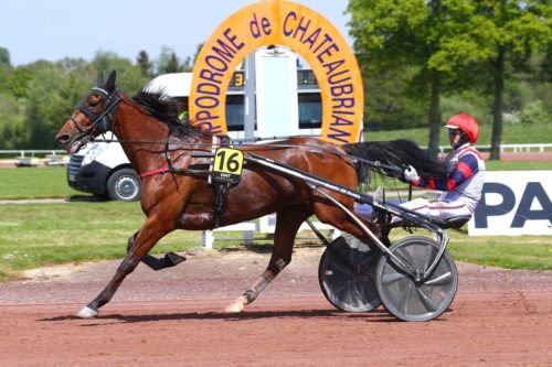 Cleangame reprend sa marche en avant