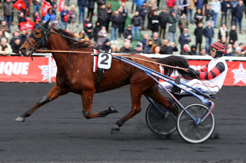 5 partants au niveau Groupe samedi