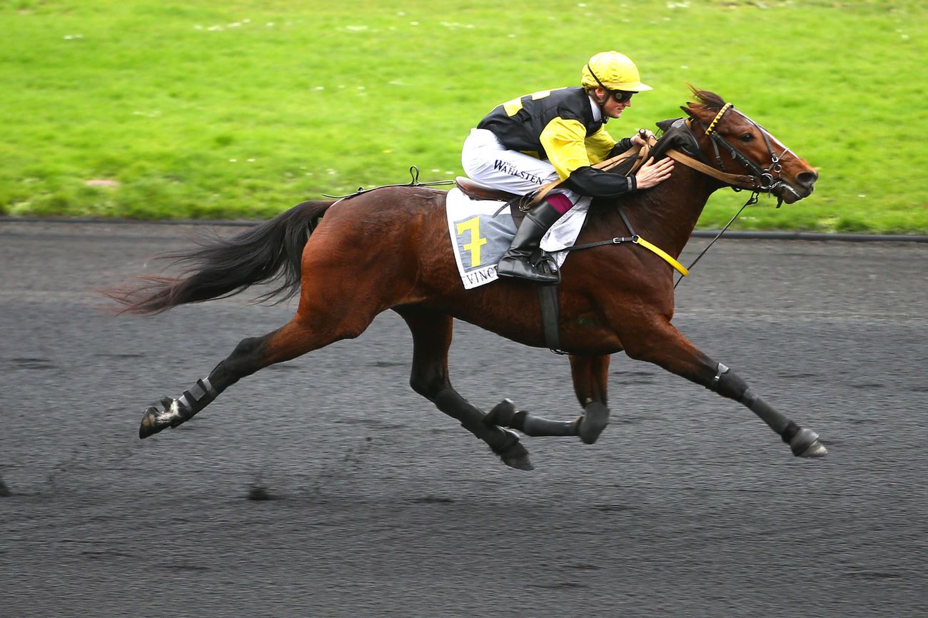 You are currently viewing DRAGON DU FRESNE (2013)