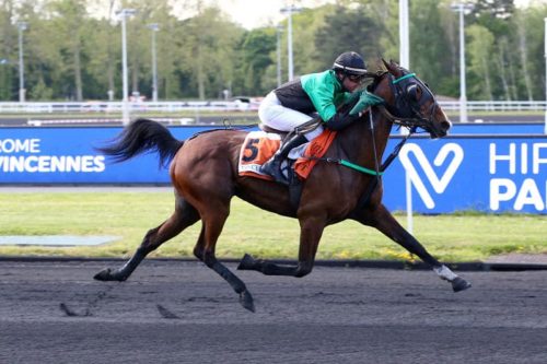 Drusenheim brille à Vincennes