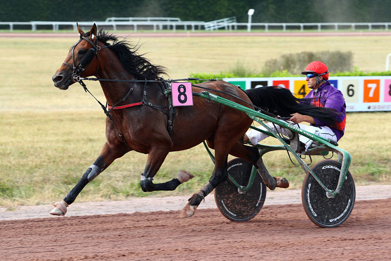 You are currently viewing Philippe Daugeard voit double