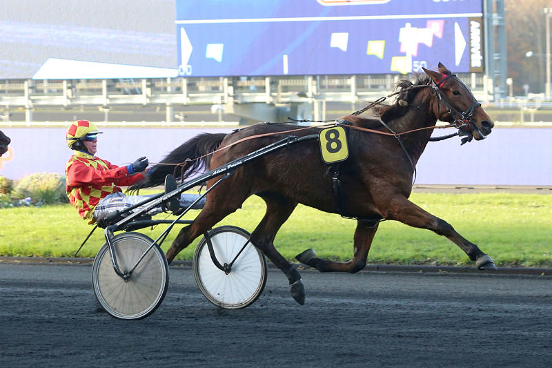 You are currently viewing Et de 5 pour Flower By Magalou !