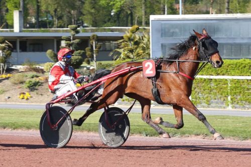 Belle série en cours pour Forbach