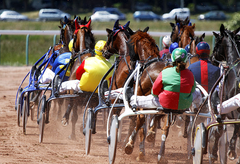 You are currently viewing Gondolier et Féria du Metz brillent au niveau Premium