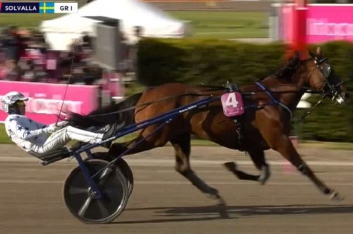 GO ON BOY survole le final de l&rsquo;Elitloppet