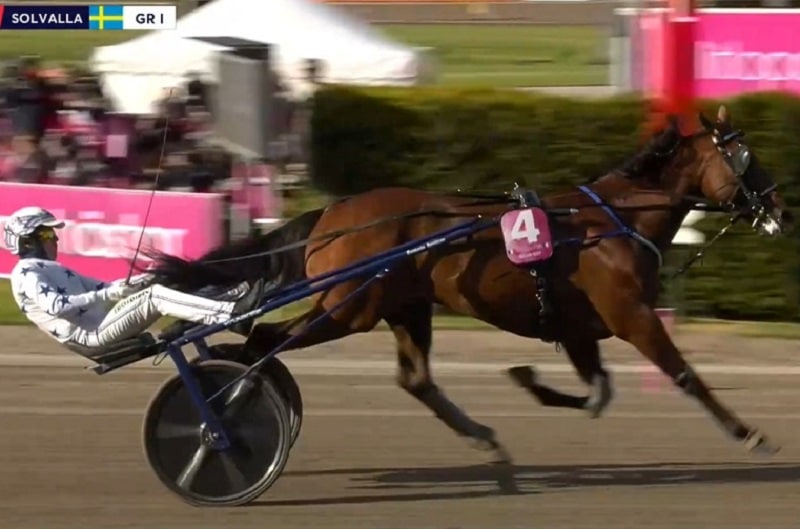 You are currently viewing GO ON BOY survole le final de l&rsquo;Elitloppet