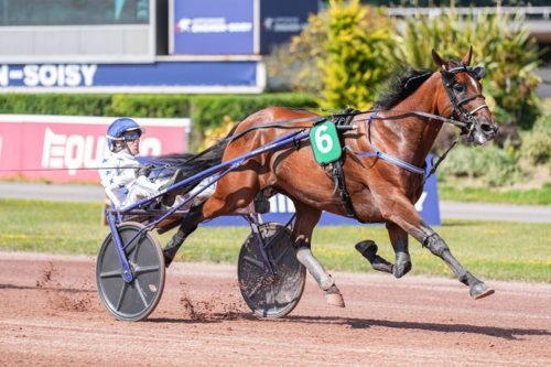 Brillante rentrée victorieuse du champion Go On Boy