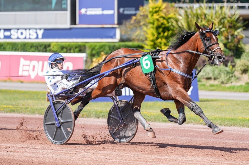 You are currently viewing Brillante rentrée victorieuse du champion Go On Boy