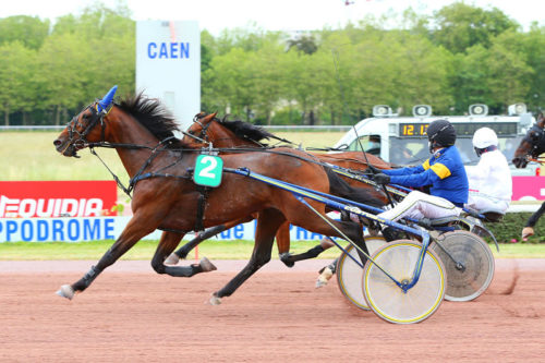 Ginai des Épines marque encore les esprits