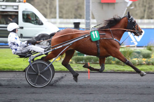 Go On Boy, en route vers l&rsquo;Elitloppet