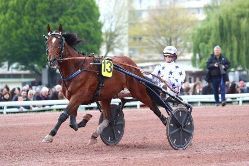 Magistral Go On Boy à Mons