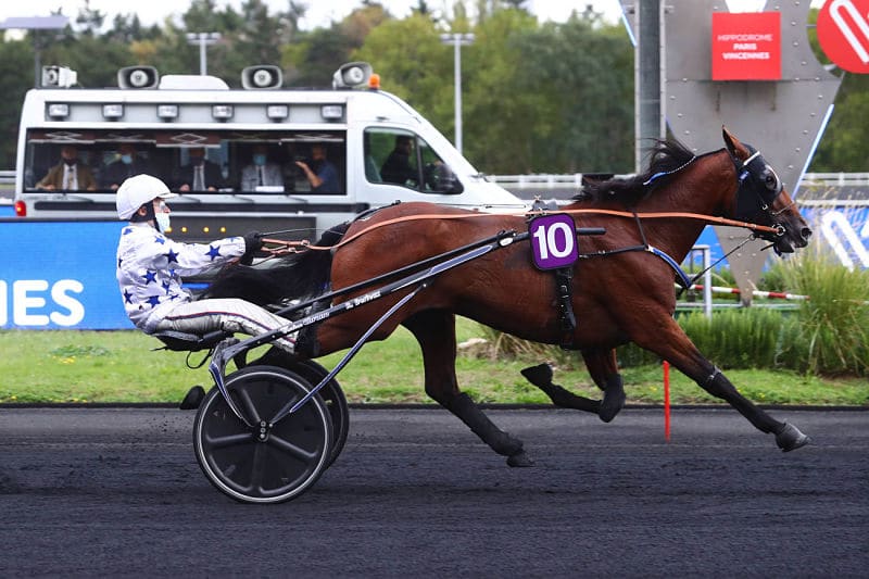 You are currently viewing Go on Boy : un « triple Speedy Crown » associé au sang de Muragla