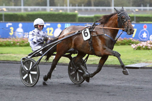 Go On Boy excellent 2ème pour sa rentrée