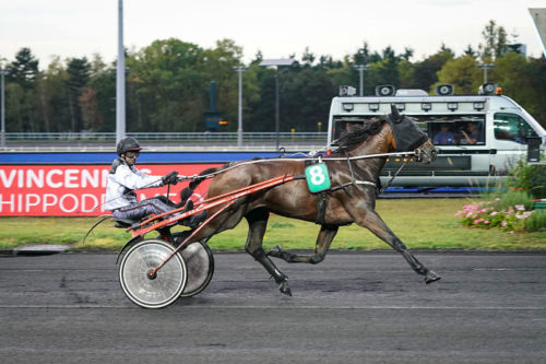 Goliath de la Cour brille à Vincennes
