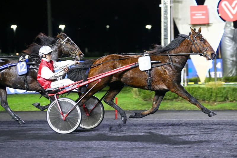 You are currently viewing Greco d’Occagnes entame bien l’année