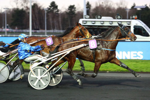 Débuts tonitruants à Vincennes pour Gun Sissi
