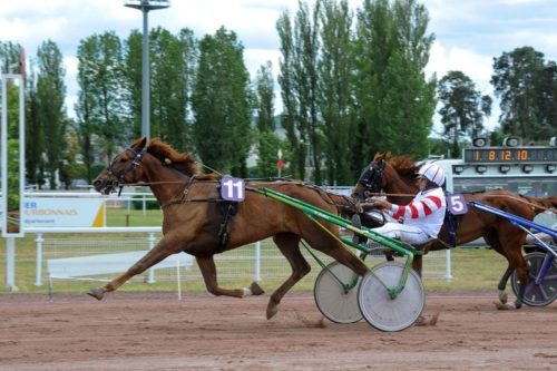 Hakim des Champs et Hulk de Tillard scorent au niveau Premium