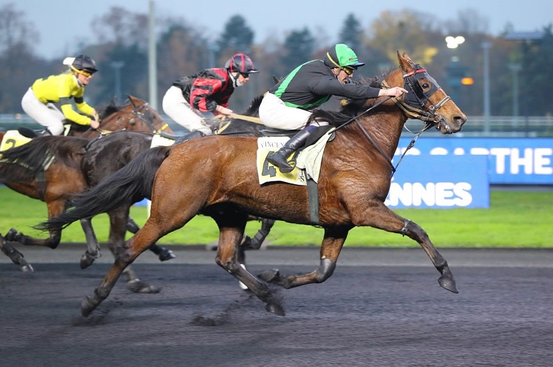 You are currently viewing Une première à Vincennes pour Heartbreaker Well