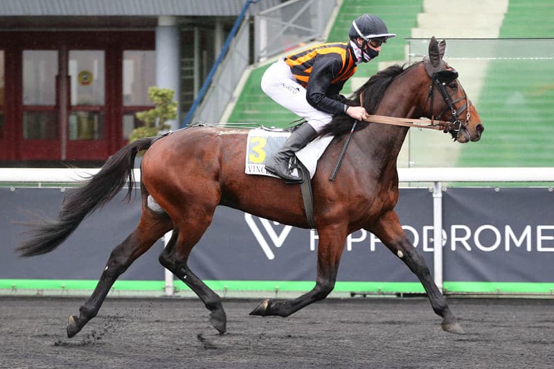 You are currently viewing Belle valeur de Hector des Champs dans le Prix Raoul Ballière
