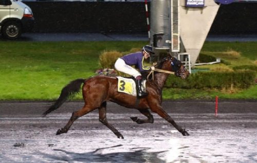 Heuristique double la mise