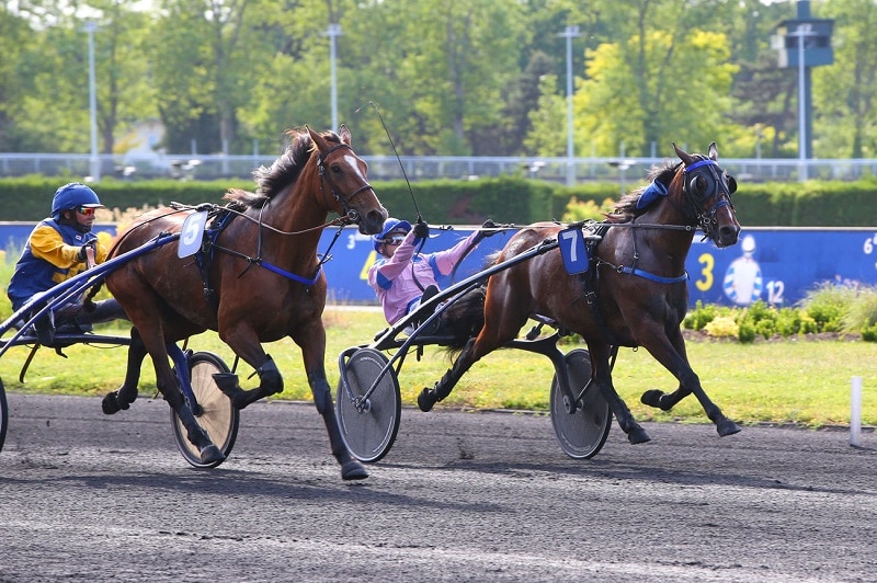 You are currently viewing Hizia Marandaise – Hélia de Fromentin : un beau couplé gagnant !