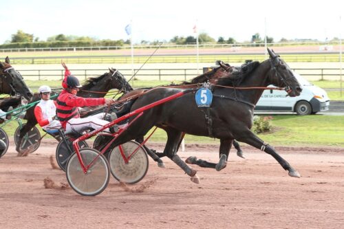 HULYSSE DIGEO, le Rêve d’un « petit propriétaire »