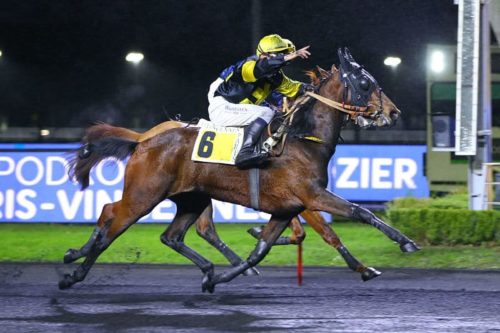 Et de 3 au niveau Groupe II pour Hytte du Terroir