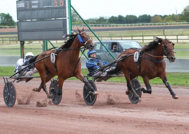 G.P. de la Fédération : un 38e succès pour la star Idao de Tillard