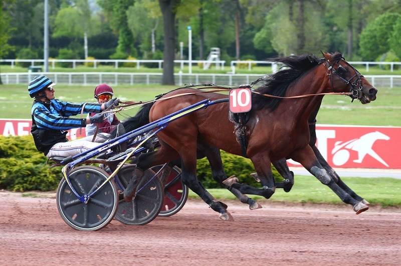 You are currently viewing Le champion Idao de Tillard à la hauteur pour sa rentrée – Invictus Madiba excellent 3ème