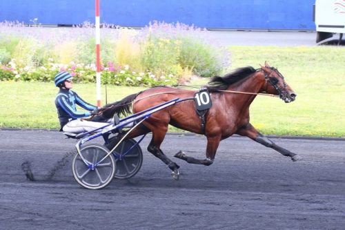 Contrat rempli pour Idao de Tillard
