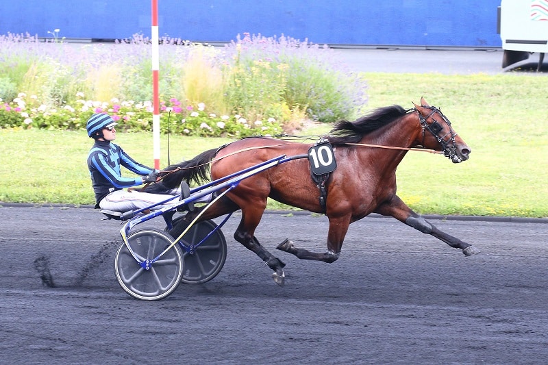 You are currently viewing Rentrée victorieuse d&rsquo;IDAO DE TILLARD