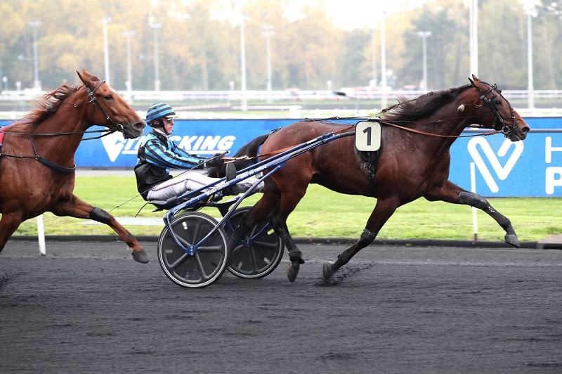 You are currently viewing Idao de Tillard en champion – Guide Moi Forgan avec brio