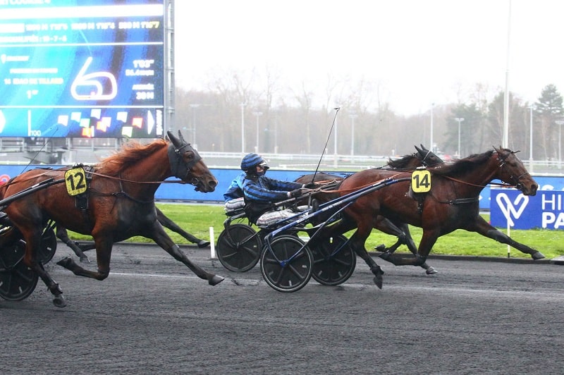 You are currently viewing Idao de Tillard fait le job… En route pour « l&rsquo;Amérique » !