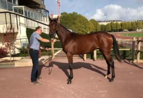 « Idao » et « Intense »… de Tillard, nos premiers « I » qualifiés