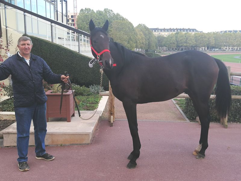 You are currently viewing « Instinct » – « Ice Dream », les achats de l&rsquo;Ecurie Benoît
