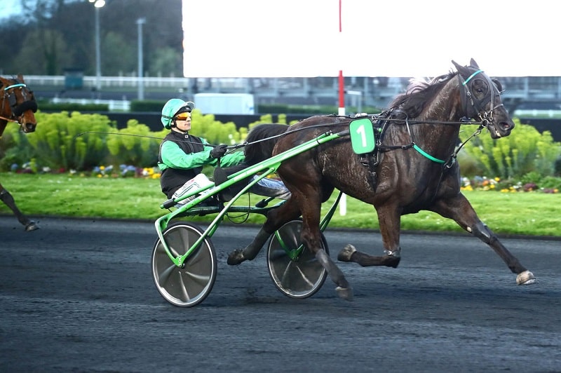 You are currently viewing Iris Intense s&rsquo;impose en force sur le mâchefer parisien
