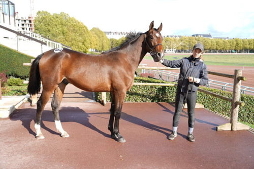 Sous le charme d&rsquo;Ivoire Dairpet